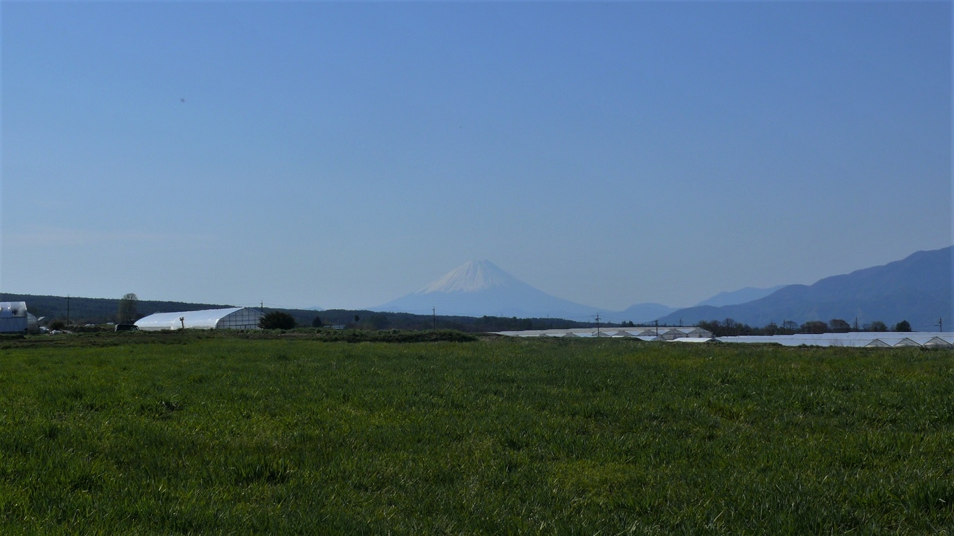 http://www.alpico.co.jp/shikinomori/news/images/P1100557.JPG