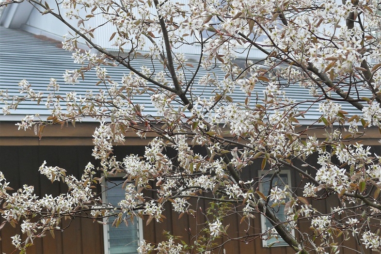 http://www.alpico.co.jp/shikinomori/news/images/P1100573.JPG