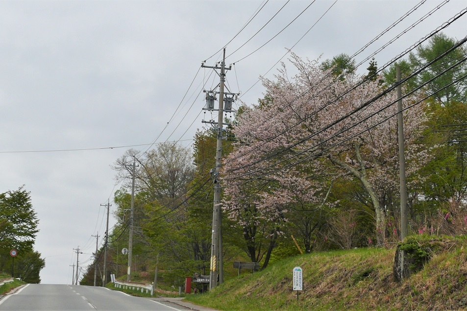 http://www.alpico.co.jp/shikinomori/news/images/P1100665.JPG