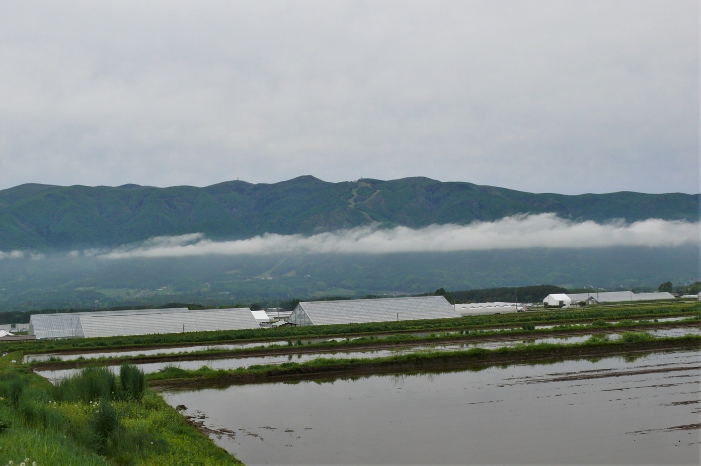 http://www.alpico.co.jp/shikinomori/news/images/P1110068.JPG