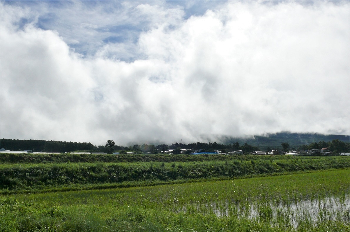 http://www.alpico.co.jp/shikinomori/news/images/P1120291.JPG