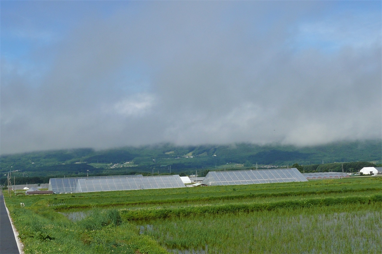 http://www.alpico.co.jp/shikinomori/news/images/P1120292.JPG