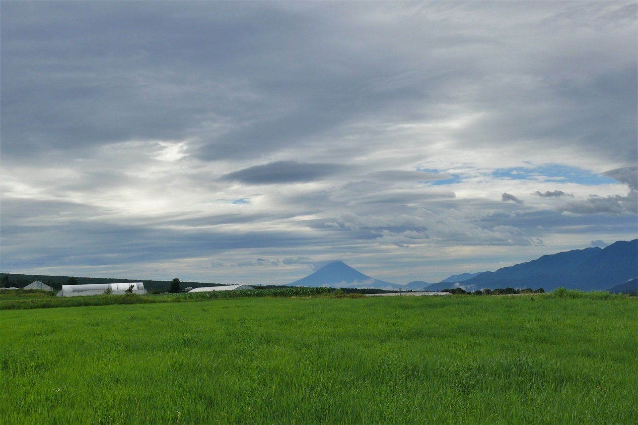 http://www.alpico.co.jp/shikinomori/news/images/P1120305.JPG