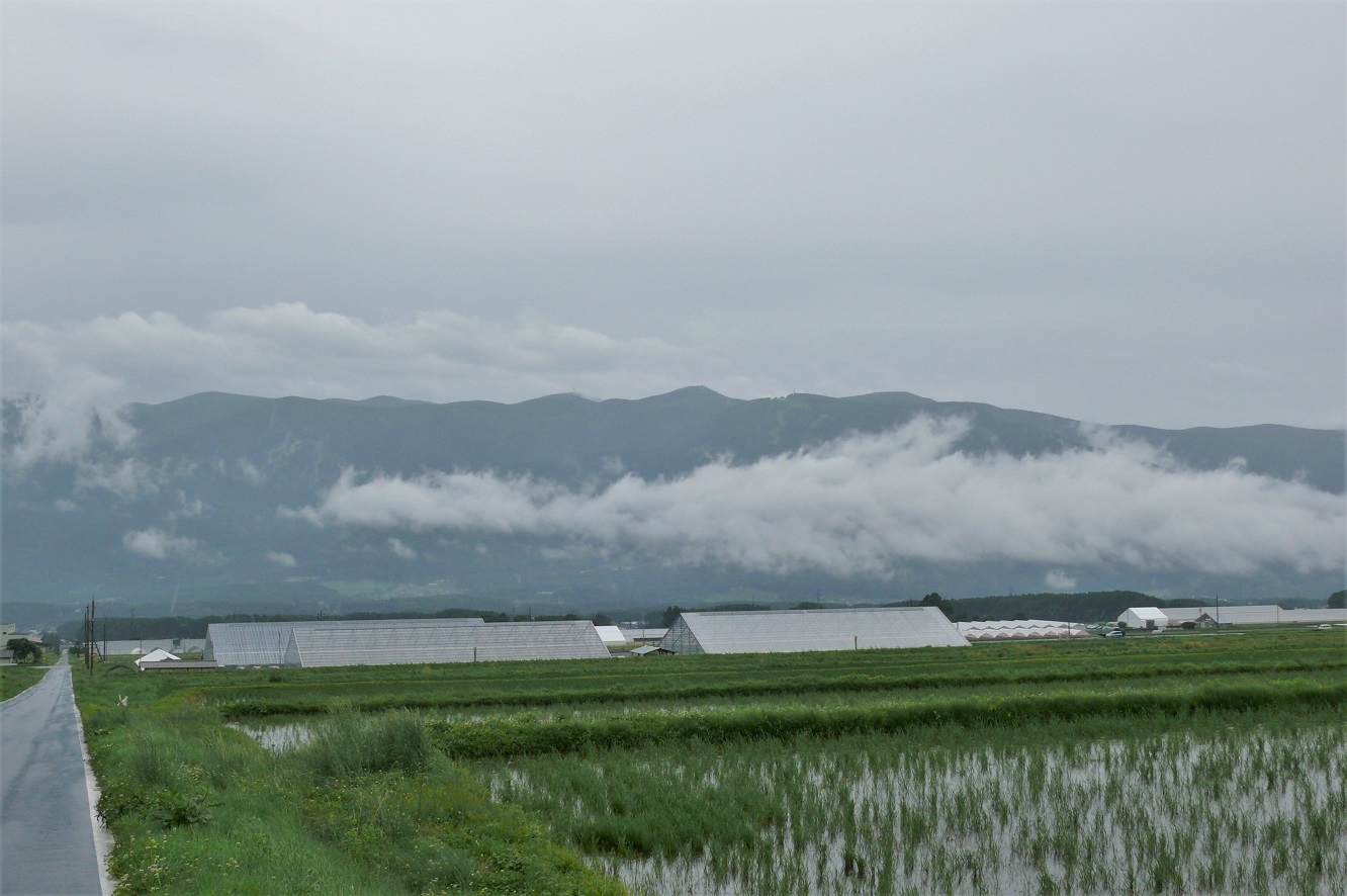 http://www.alpico.co.jp/shikinomori/news/images/P1120353.JPG