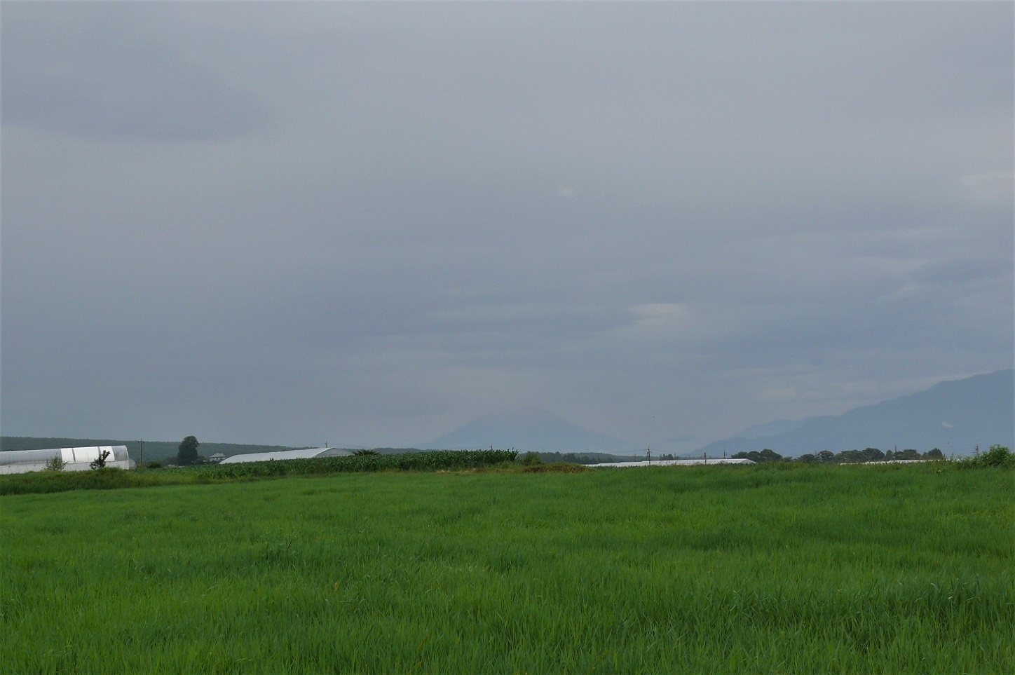 http://www.alpico.co.jp/shikinomori/news/images/P1120355.JPG
