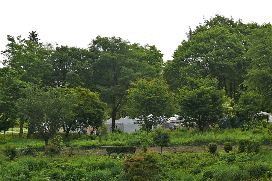 http://www.alpico.co.jp/shikinomori/news/images/P1120404.JPG