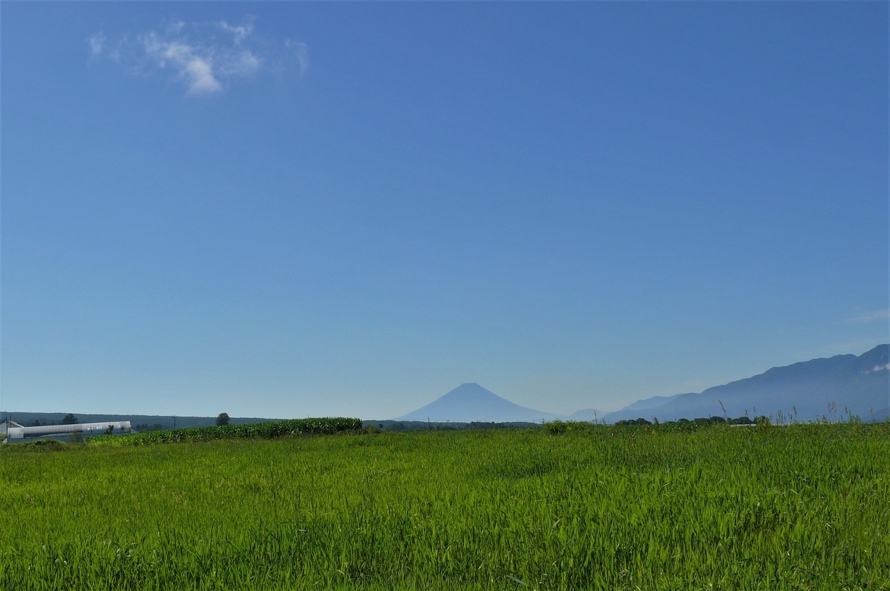 http://www.alpico.co.jp/shikinomori/news/images/P1120658.JPG