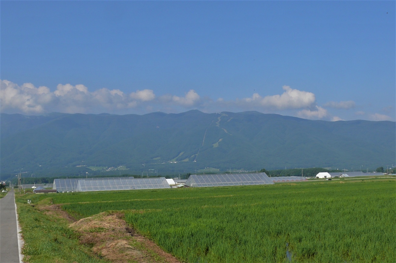 http://www.alpico.co.jp/shikinomori/news/images/P1120997.JPG