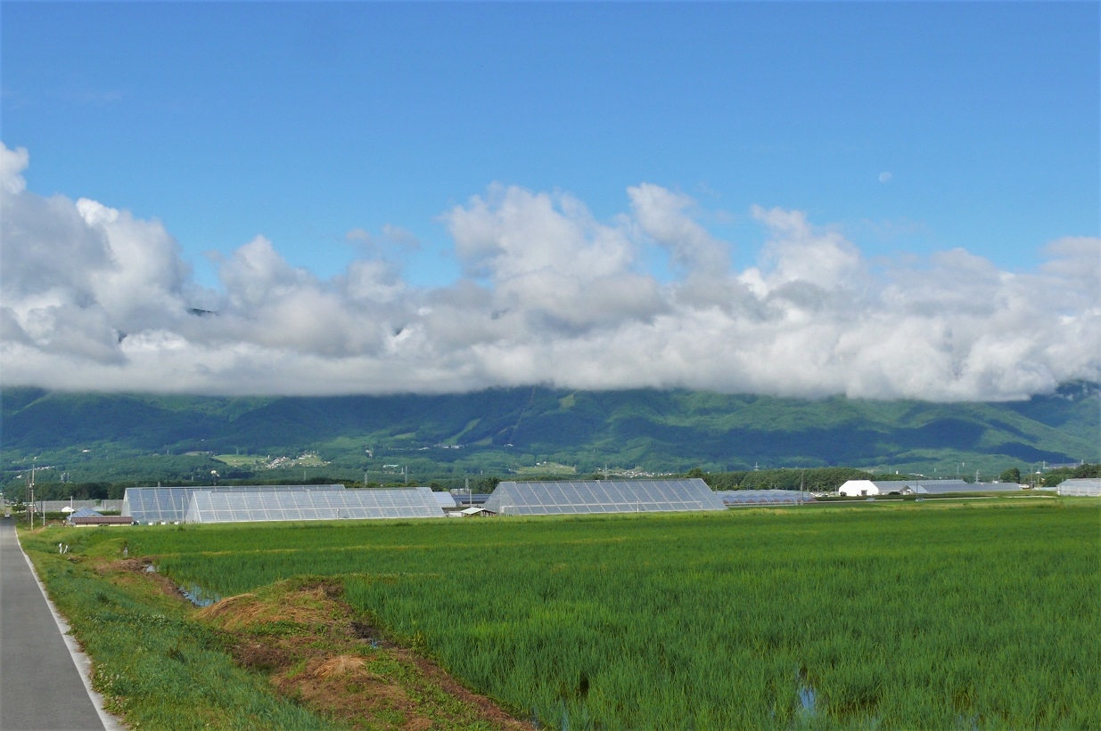 http://www.alpico.co.jp/shikinomori/news/images/P1130030.JPG