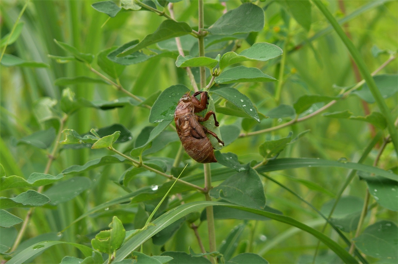 http://www.alpico.co.jp/shikinomori/news/images/P1130112.JPG