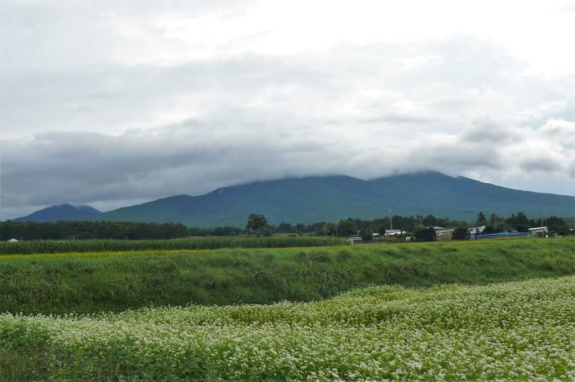 http://www.alpico.co.jp/shikinomori/news/images/P1130869.JPG