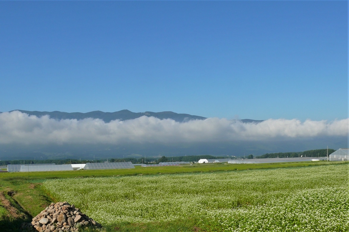 http://www.alpico.co.jp/shikinomori/news/images/P1130938.JPG