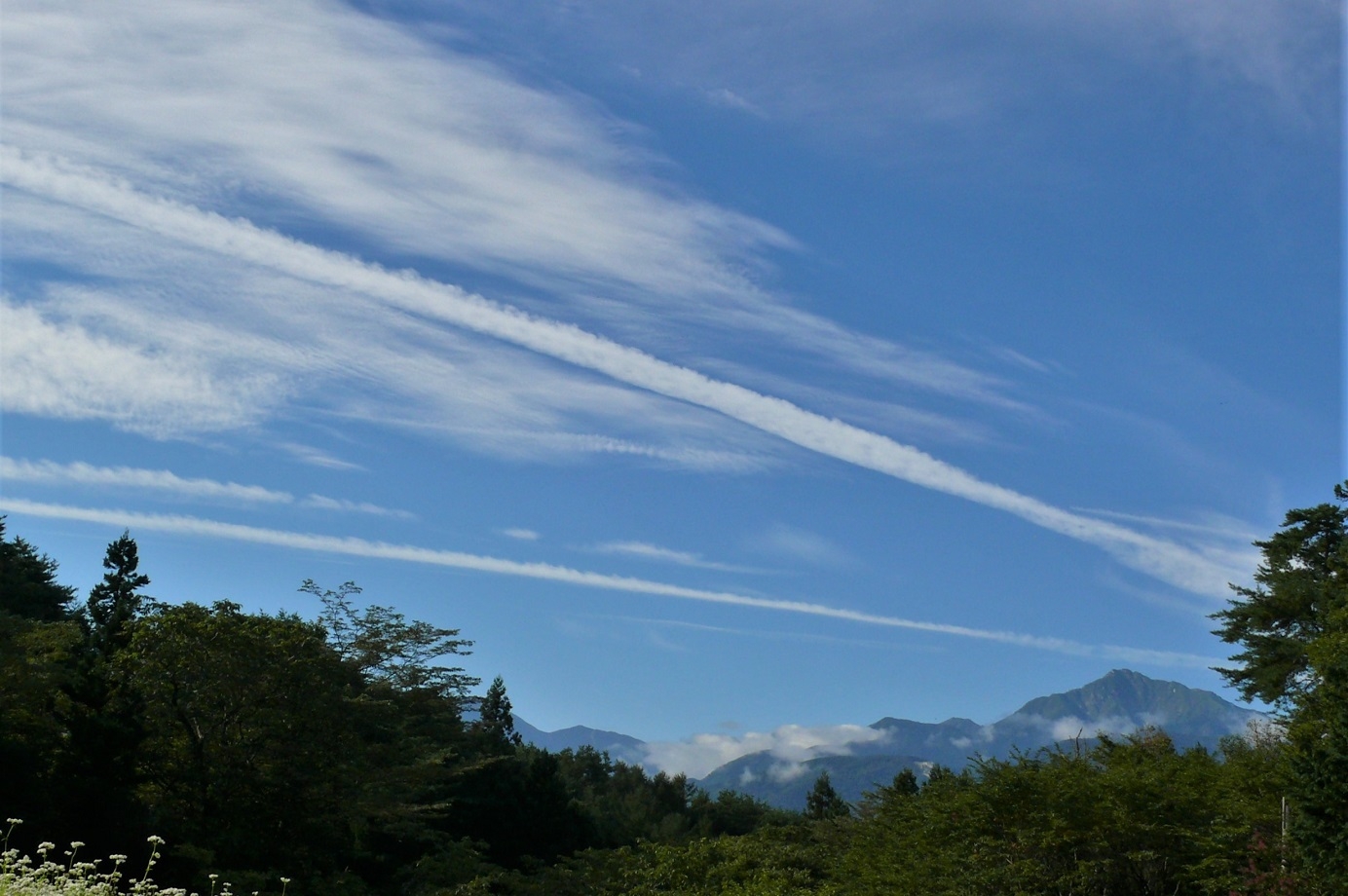 http://www.alpico.co.jp/shikinomori/news/images/P1140240.JPG