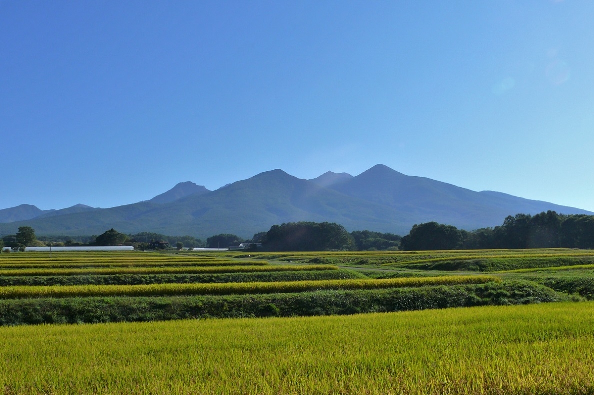 http://www.alpico.co.jp/shikinomori/news/images/P1140651.JPG