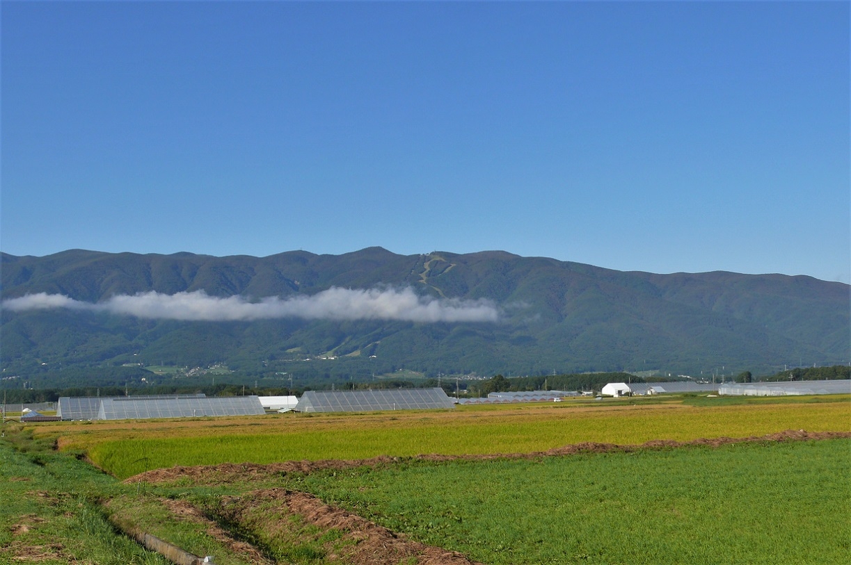 http://www.alpico.co.jp/shikinomori/news/images/P1140652.JPG