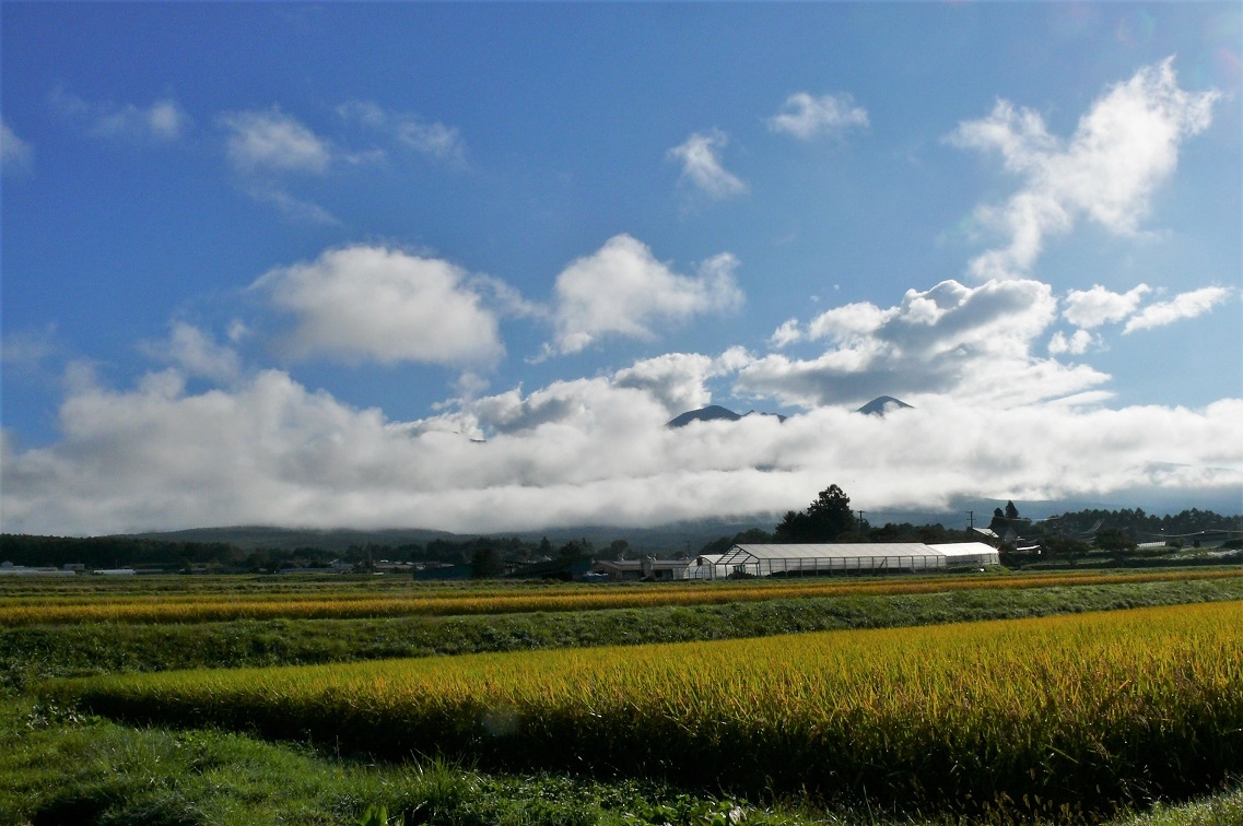 http://www.alpico.co.jp/shikinomori/news/images/P1140761.JPG