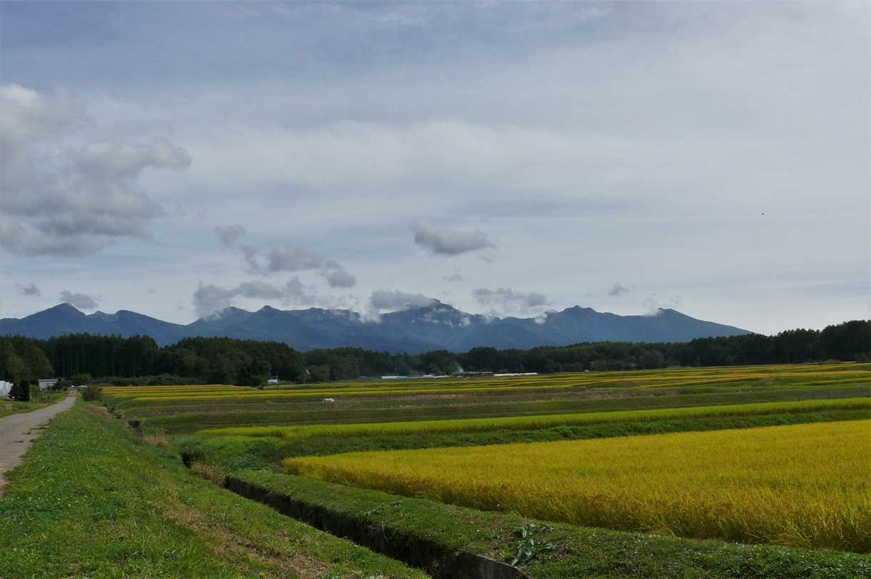 http://www.alpico.co.jp/shikinomori/news/images/P1140856.JPG