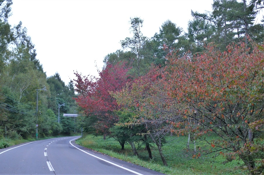 http://www.alpico.co.jp/shikinomori/news/images/P1140891.JPG