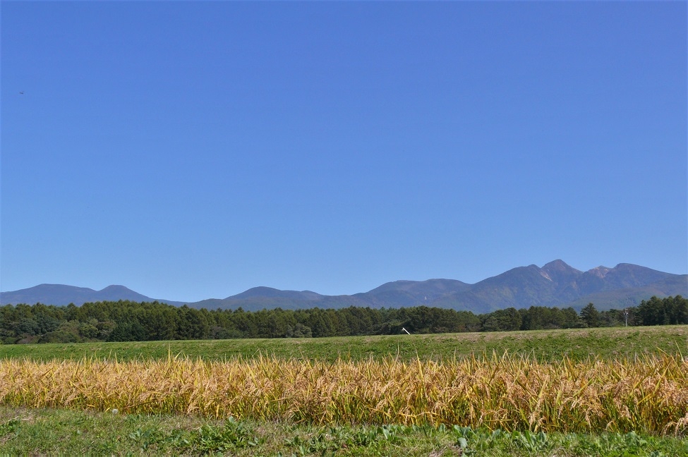 http://www.alpico.co.jp/shikinomori/news/images/P1140952.JPG