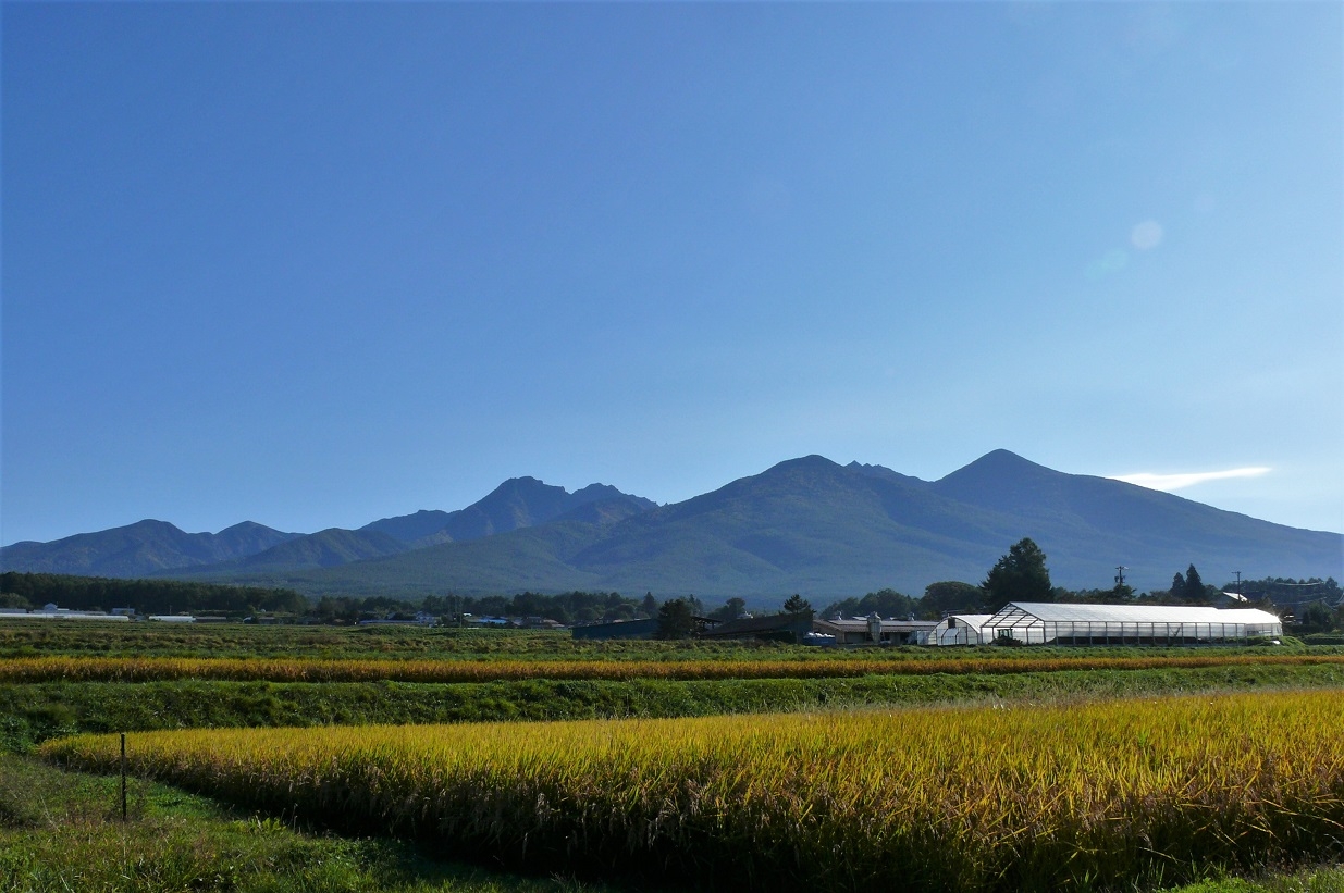http://www.alpico.co.jp/shikinomori/news/images/P1140970.JPG