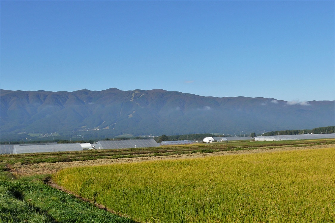 http://www.alpico.co.jp/shikinomori/news/images/P1140971.JPG