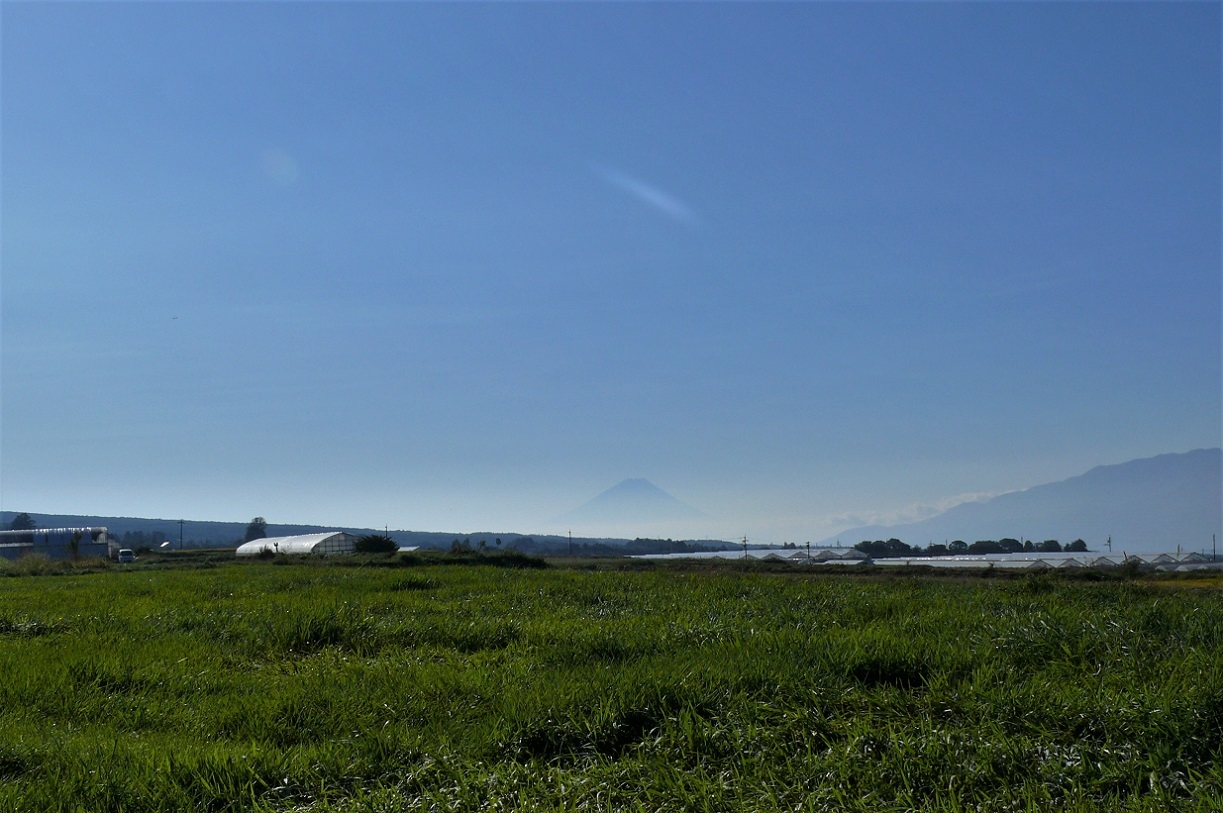 http://www.alpico.co.jp/shikinomori/news/images/P1140972.JPG