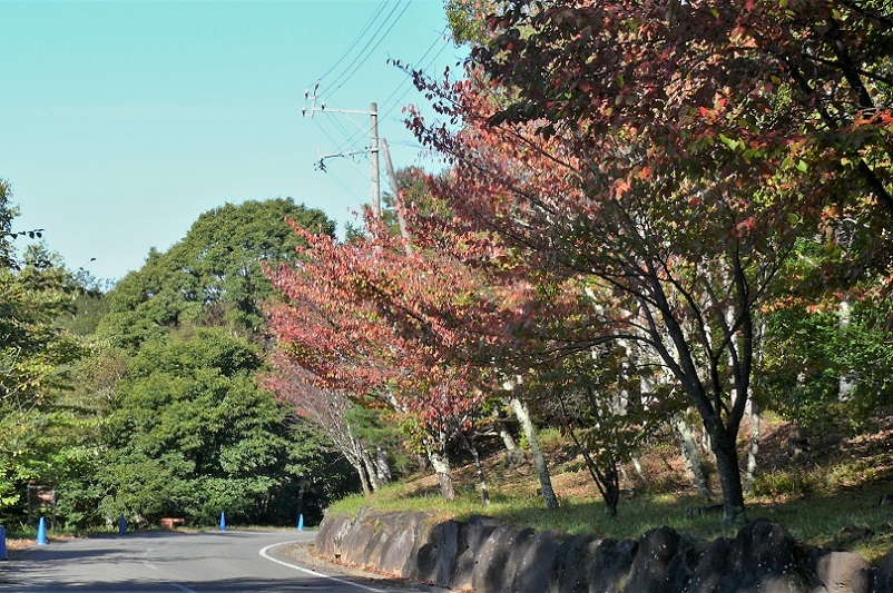 http://www.alpico.co.jp/shikinomori/news/images/P1140987.JPG