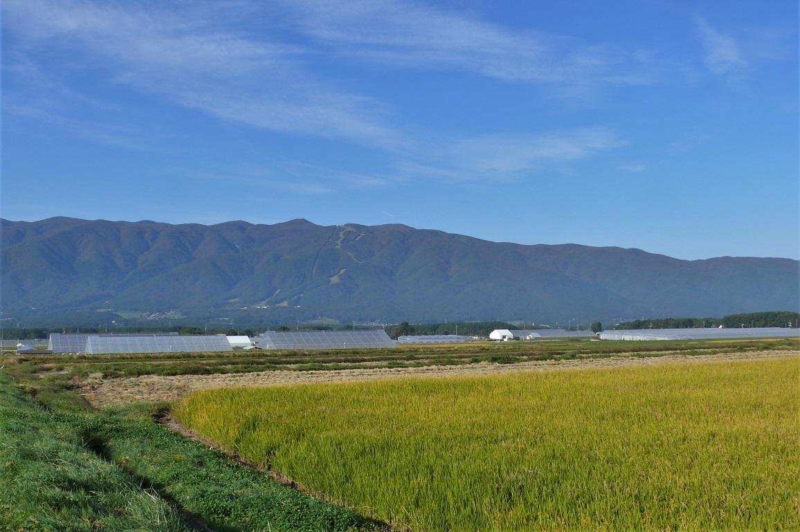 http://www.alpico.co.jp/shikinomori/news/images/P1150021.JPG