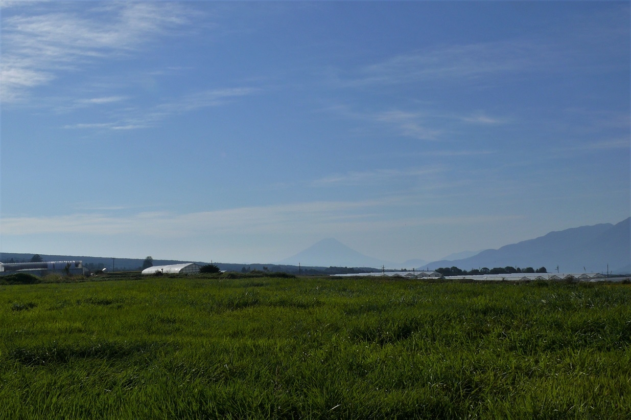 http://www.alpico.co.jp/shikinomori/news/images/P1150023.JPG