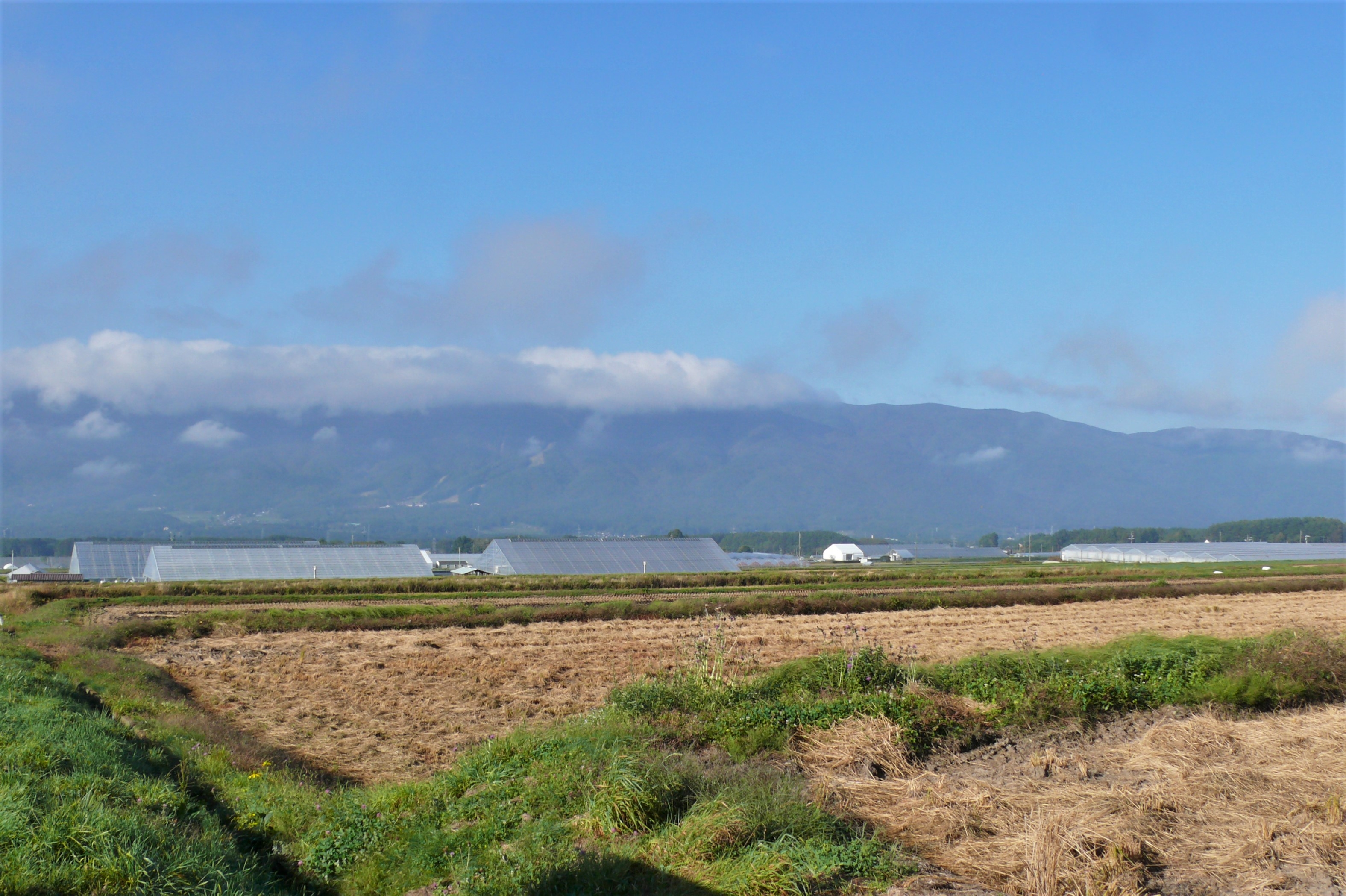 http://www.alpico.co.jp/shikinomori/news/images/P1150125.JPG
