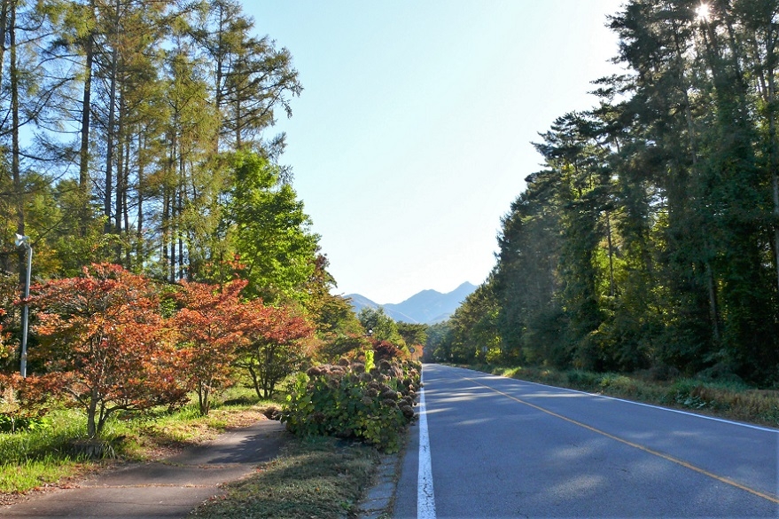 http://www.alpico.co.jp/shikinomori/news/images/P1150163.JPG