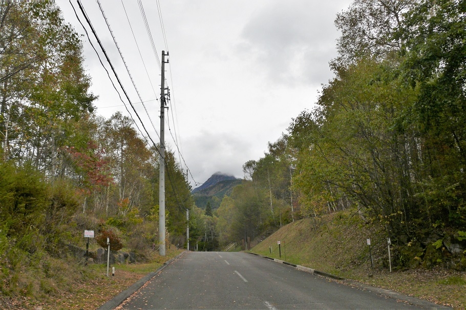 http://www.alpico.co.jp/shikinomori/news/images/P1150369.JPG