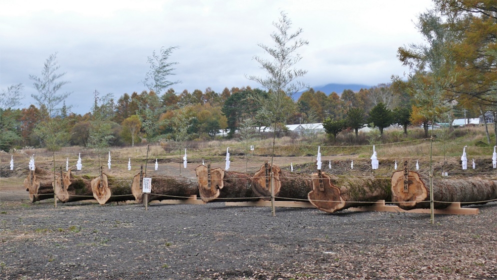 http://www.alpico.co.jp/shikinomori/news/images/P1150616.JPG