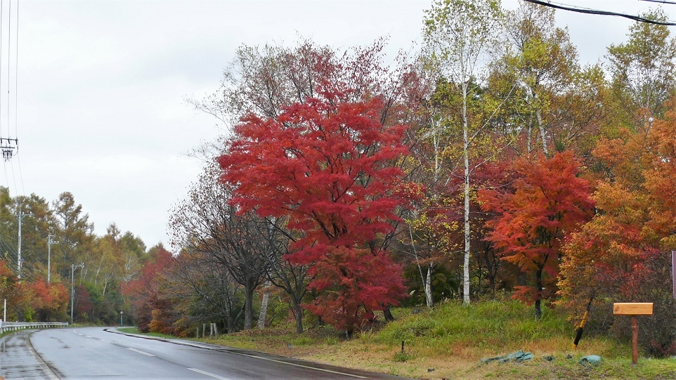 http://www.alpico.co.jp/shikinomori/news/images/P1150633.JPG