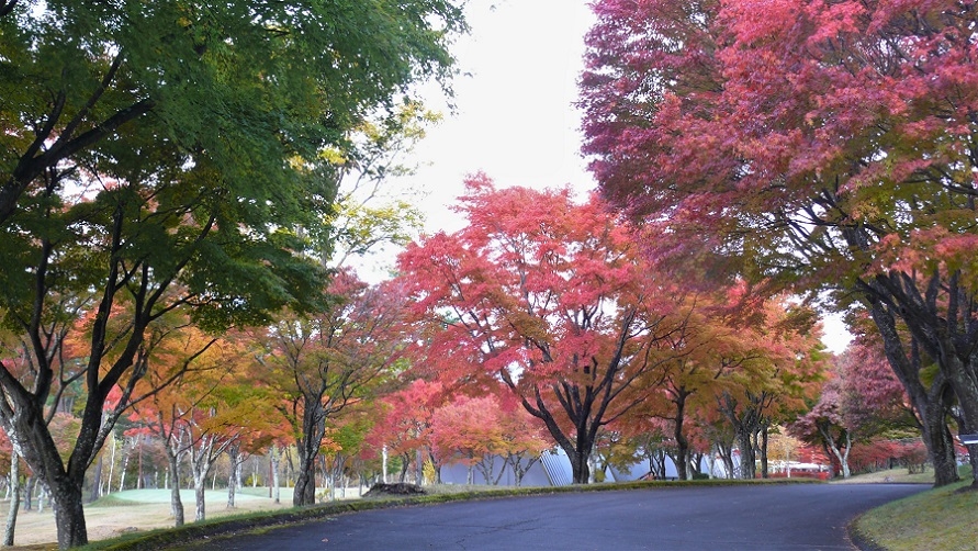 http://www.alpico.co.jp/shikinomori/news/images/P1150666.JPG