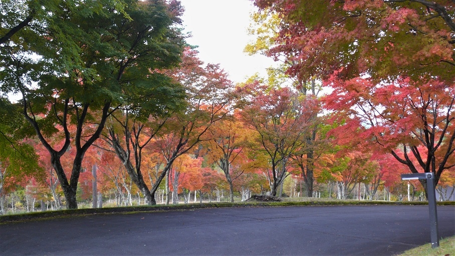 http://www.alpico.co.jp/shikinomori/news/images/P1150668.JPG