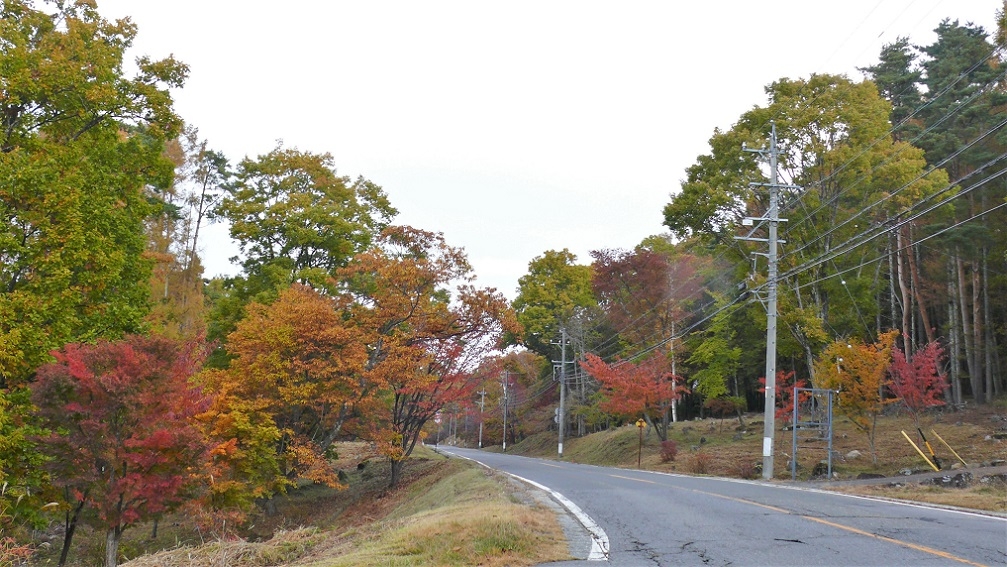 http://www.alpico.co.jp/shikinomori/news/images/P1150669.JPG