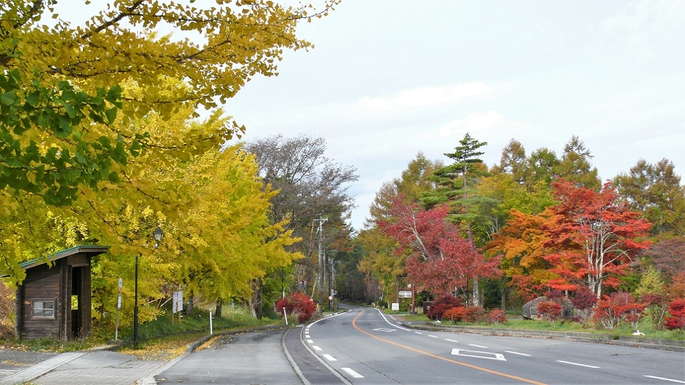 http://www.alpico.co.jp/shikinomori/news/images/P1150674.JPG