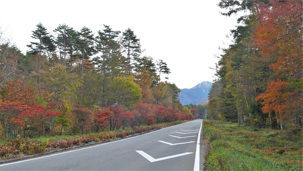 http://www.alpico.co.jp/shikinomori/news/images/P1150677.JPG