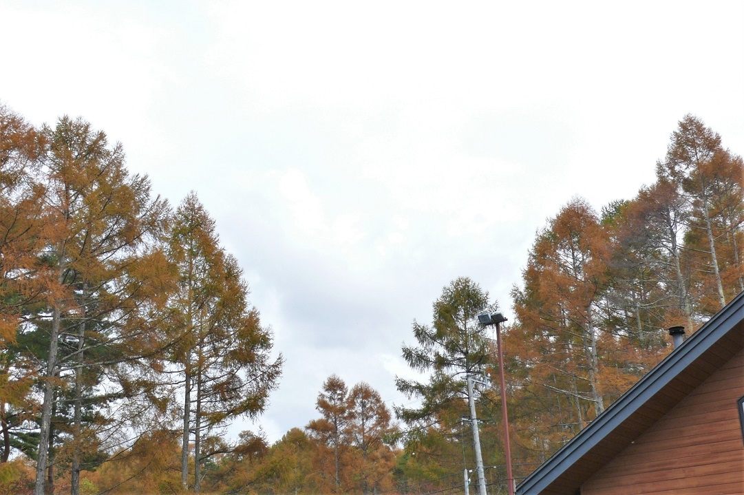 http://www.alpico.co.jp/shikinomori/news/images/P1150695.JPG