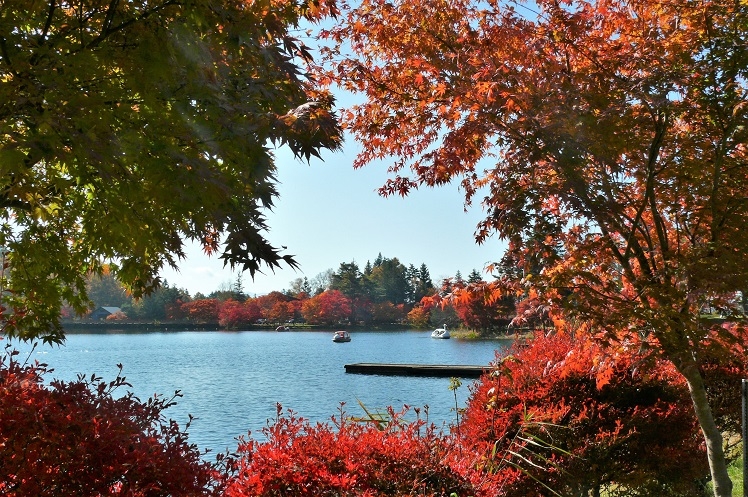 http://www.alpico.co.jp/shikinomori/news/images/P1150731.JPG