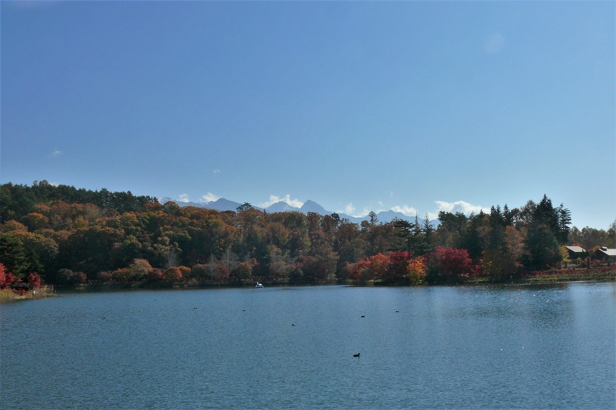 http://www.alpico.co.jp/shikinomori/news/images/P1150743.JPG