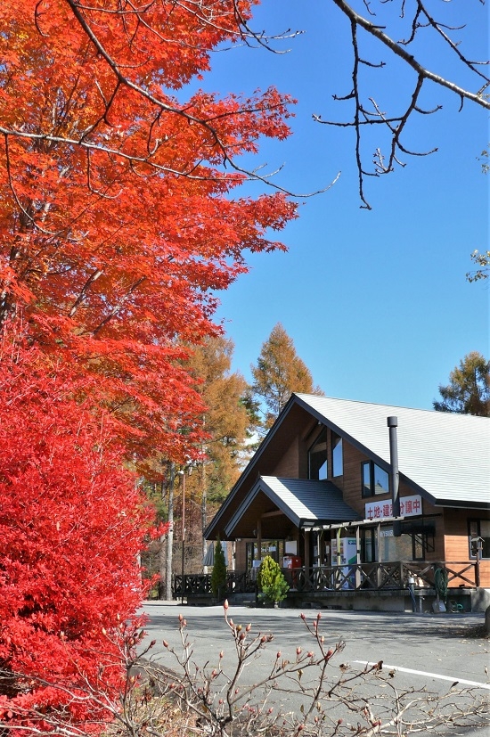 http://www.alpico.co.jp/shikinomori/news/images/P1150766.JPG