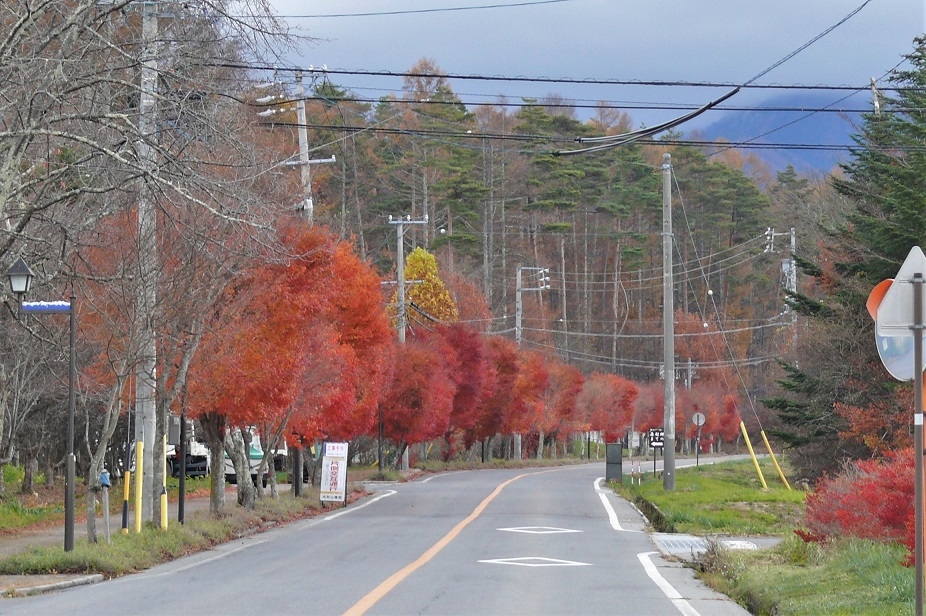 http://www.alpico.co.jp/shikinomori/news/images/P1150868.JPG