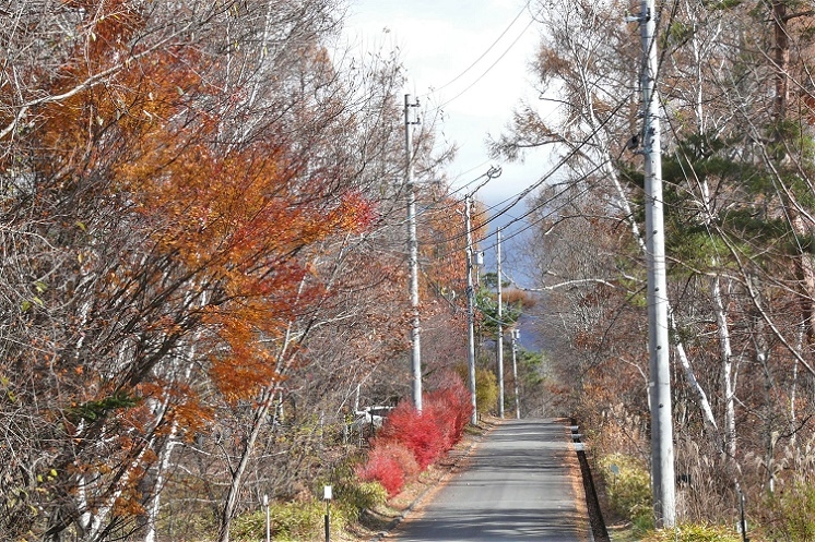 http://www.alpico.co.jp/shikinomori/news/images/P1150895.JPG