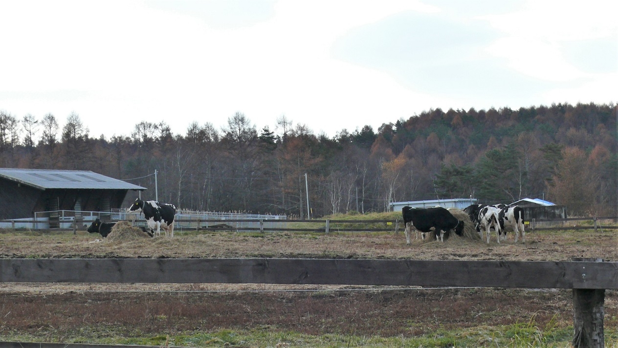 http://www.alpico.co.jp/shikinomori/news/images/P1160151.JPG