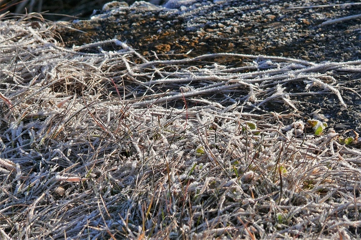 http://www.alpico.co.jp/shikinomori/news/images/P1170468.JPG