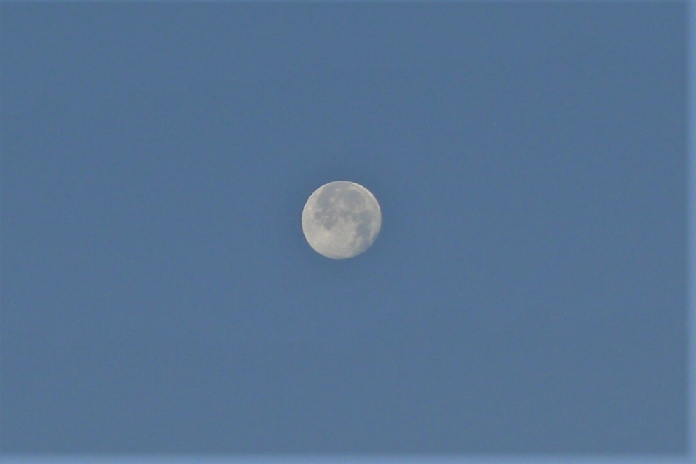 http://www.alpico.co.jp/shikinomori/news/images/P1170577.JPG