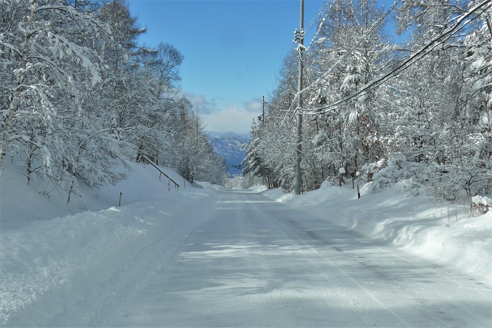 http://www.alpico.co.jp/shikinomori/news/images/P1180095.JPG