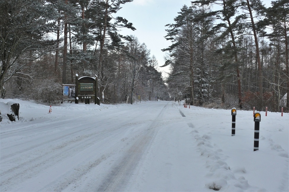 http://www.alpico.co.jp/shikinomori/news/images/P1180167.JPG